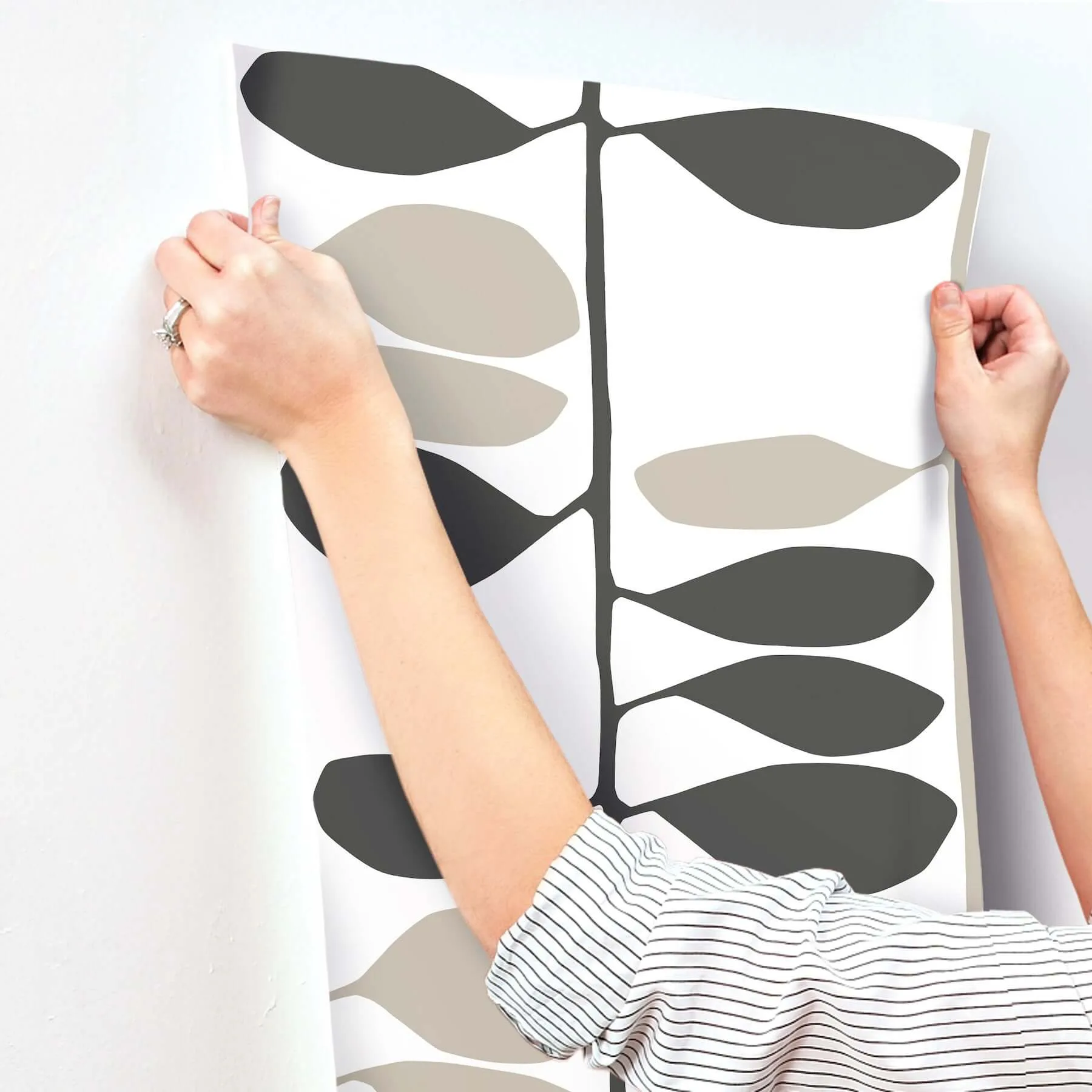 York Wallcoverings Sculpted Vines - Carbon & Linen Wallpaper | Buy Online York Wallcoverings Sculpted Vines wallpaper, color Carbon & Linen, SKU ZM2804
