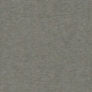 York Wallcoverings Hint wallpaper, color Silver Fox, SKU 203-09
