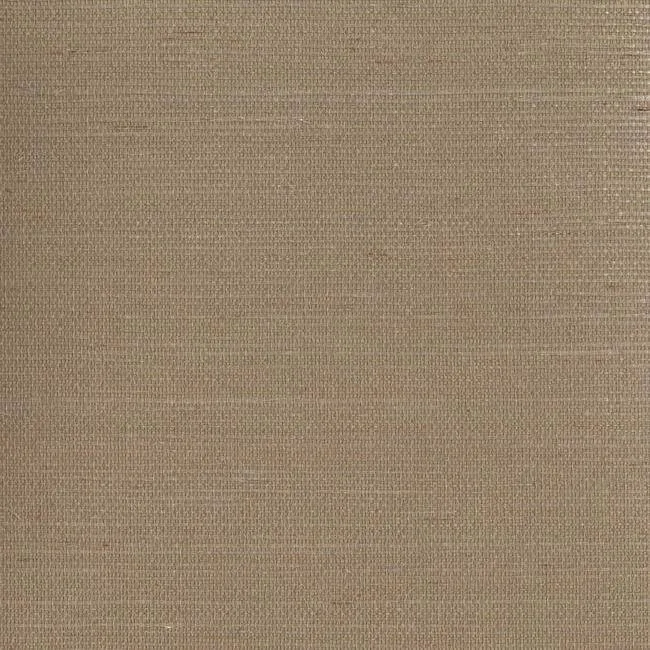 York Wallcoverings Sisal Twill Color Grasscloth wallpaper, color Light Taupe, SKU VX2266