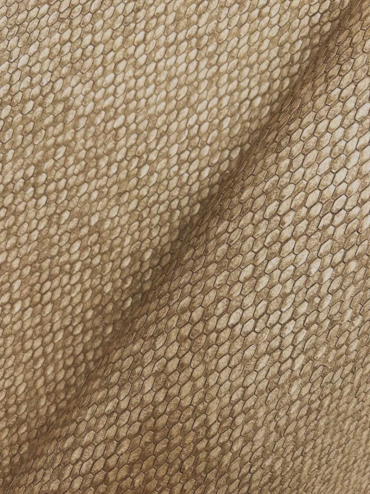 York Wallcoverings Stretched Hexagons wallpaper, color Burnished Copper, SKU Y6231105