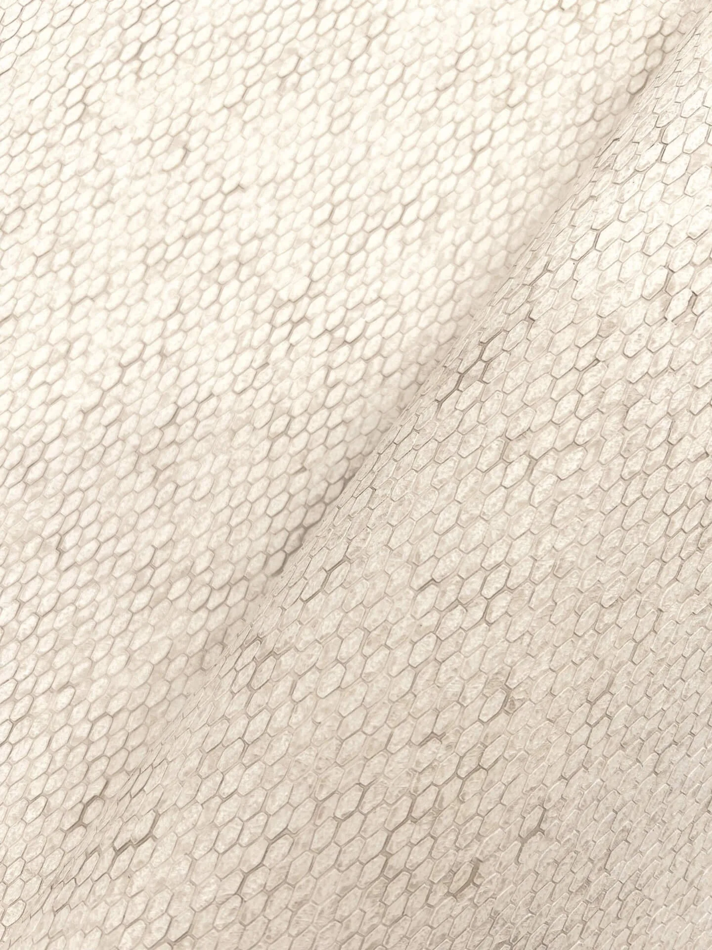 York Wallcoverings Stretched Hexagons - Cream Wallpaper | Buy Online York Wallcoverings Stretched Hexagons wallpaper, color Cream, SKU Y6231101