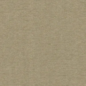 York Wallcoverings Hint wallpaper, color Tan, SKU 203-15