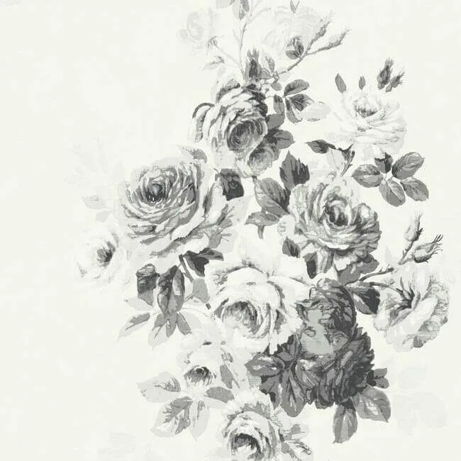 York Wallcoverings Magnolia Home Tea Rose wallpaper, color White & Black, SKU PSW1157RL