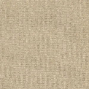 York Wallcoverings Hint wallpaper, color Toast, SKU 203-14