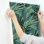 York Wallcoverings Tropical Paradise - Green & Teal Wallpaper | Buy Online York Wallcoverings Tropical Paradise wallpaper, color Green & Teal, SKU TC2607