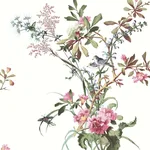 York Wallcoverings Wild Flowers wallpaper, color Rose, SKU PSW1366RL