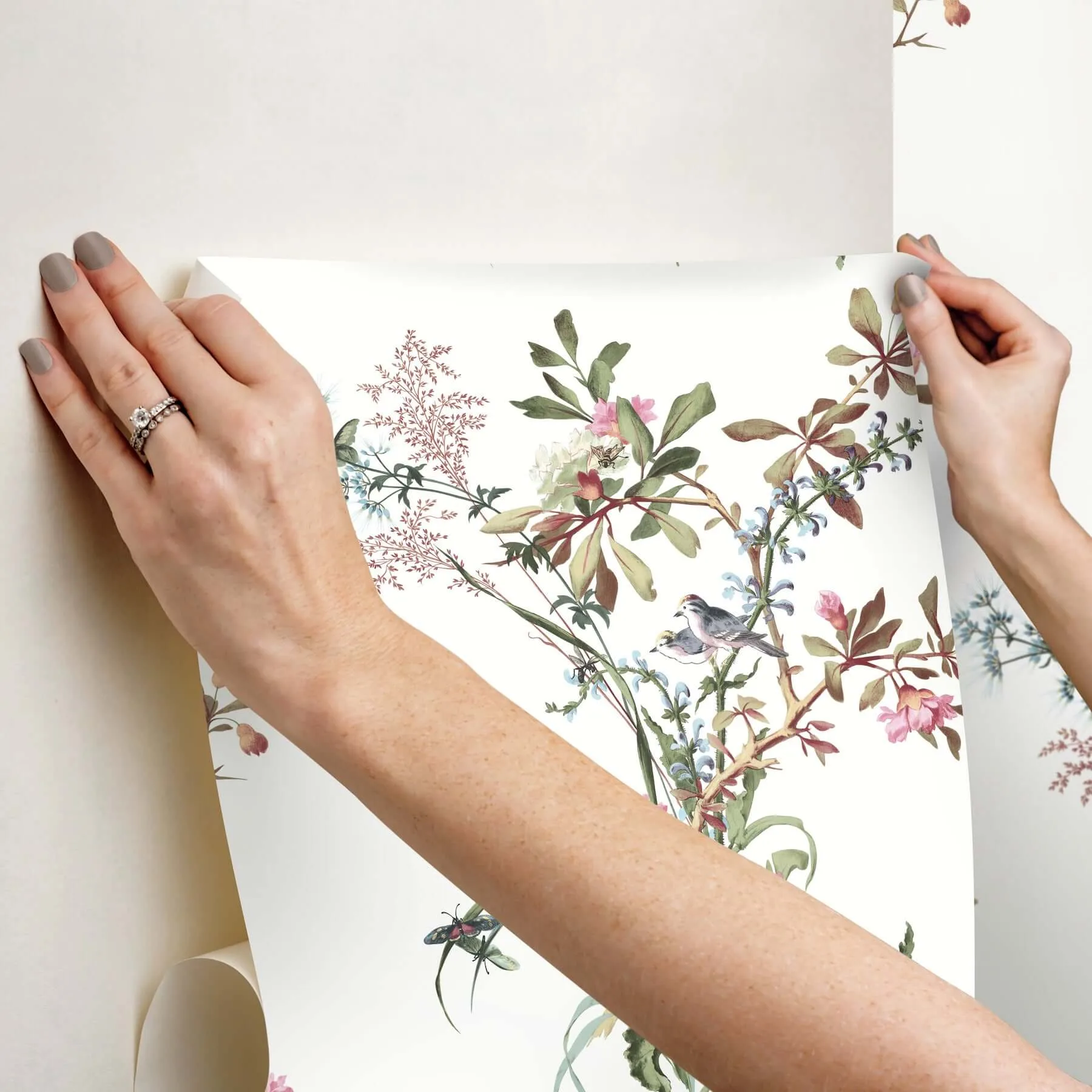 York Wallcoverings Wild Flowers wallpaper, color Rose, SKU PSW1366RL