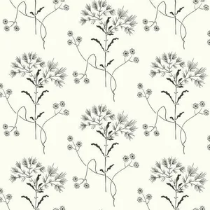 York Wallcoverings Magnolia Home Wildflower wallpaper, color Black & White, SKU PSW1153RL
