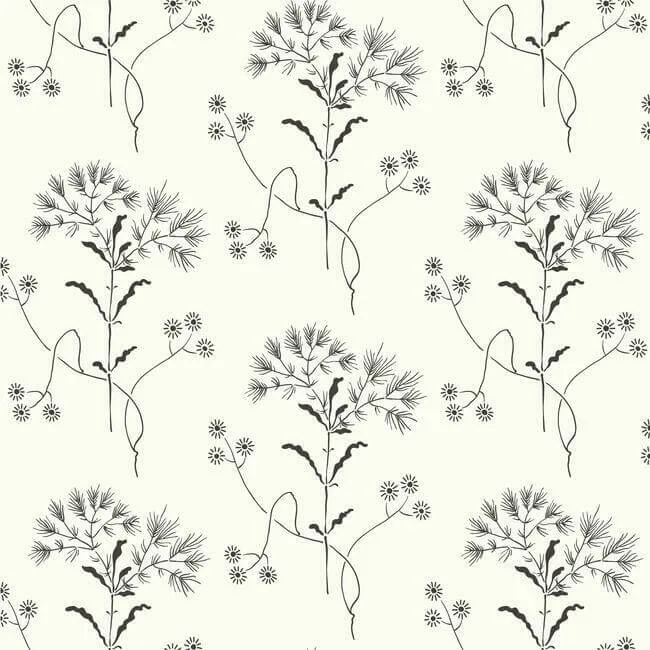York Wallcoverings Magnolia Home Wildflower wallpaper, color Black & White, SKU PSW1153RL