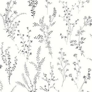 York Wallcoverings Wildflower Sprigs wallpaper, color Black & White, SKU PSW1522RL