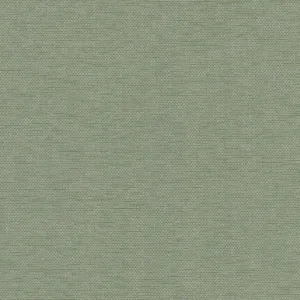 York Wallcoverings Hint wallpaper, color Willow, SKU 203-19