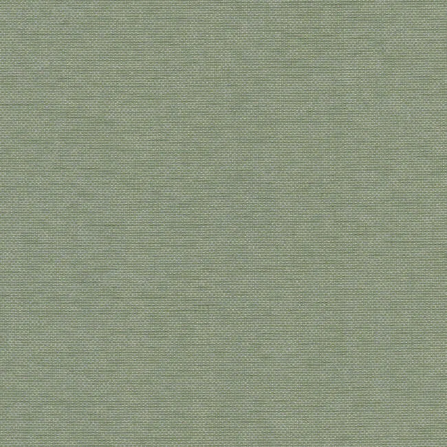 York Wallcoverings Hint wallpaper, color Willow, SKU 203-19
