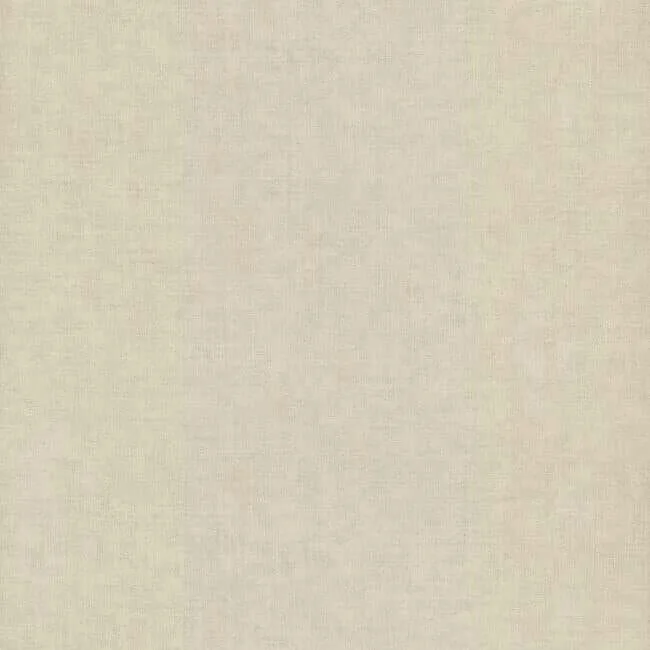 York Wallcoverings Wire Mesh wallpaper, color Off White, SKU 5571