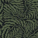 York Wallcoverings Fern Fronds wallpaper, color Black & Green, SKU AG2061
