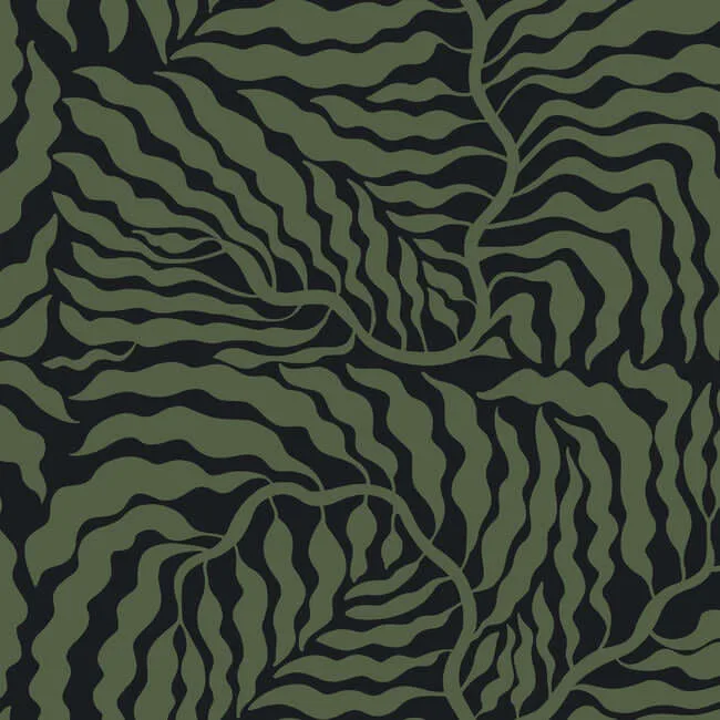 York Wallcoverings Fern Fronds wallpaper, color Black & Green, SKU AG2061