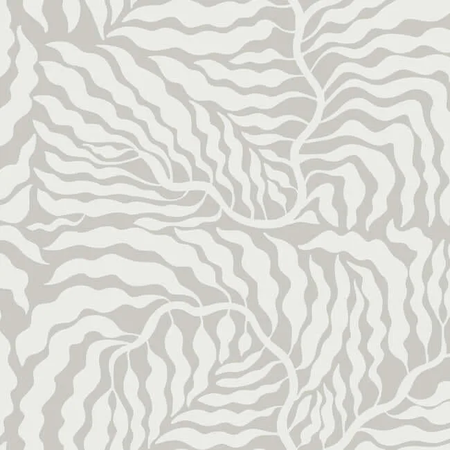 York Wallcoverings Fern Fronds wallpaper, color Grey & White, SKU AG2064