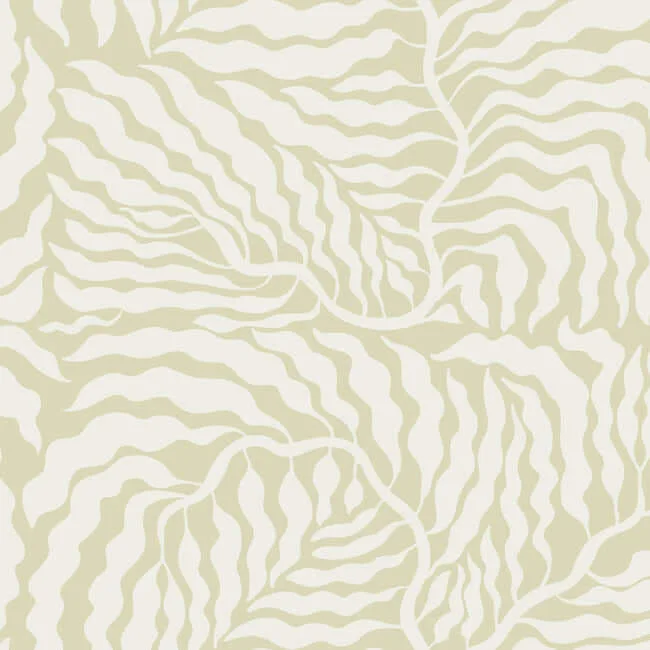 York Wallcoverings Fern Fronds wallpaper, color Light Green & White, SKU AG2065