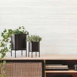 York Wallcoverings Fountain Grass wallpaper, color Ivory, SKU AG2087