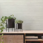 York Wallcoverings Fountain Grass wallpaper, color Sand, SKU GO8306