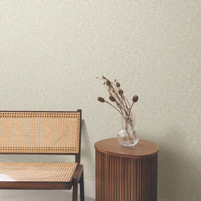 York Wallcoverings Nebulous Cloud - Almond & Metallic Wallpaper | Buy Online York Wallcoverings Nebulous Cloud wallpaper, color Almond & Metallic, SKU AG2021