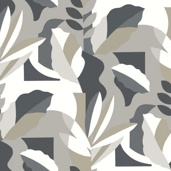 York Wallcoverings Papier Colle wallpaper, color Black & White, SKU AG2003