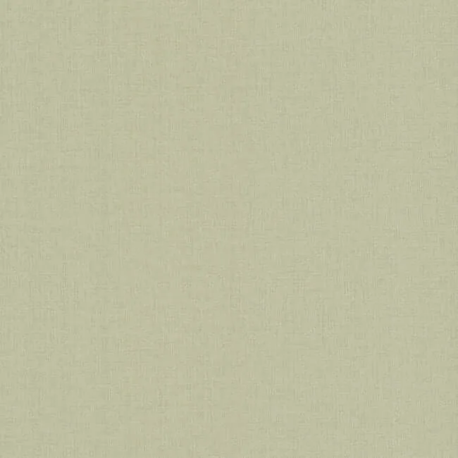 York Wallcoverings Su Tela wallpaper, color Green, SKU SI24951
