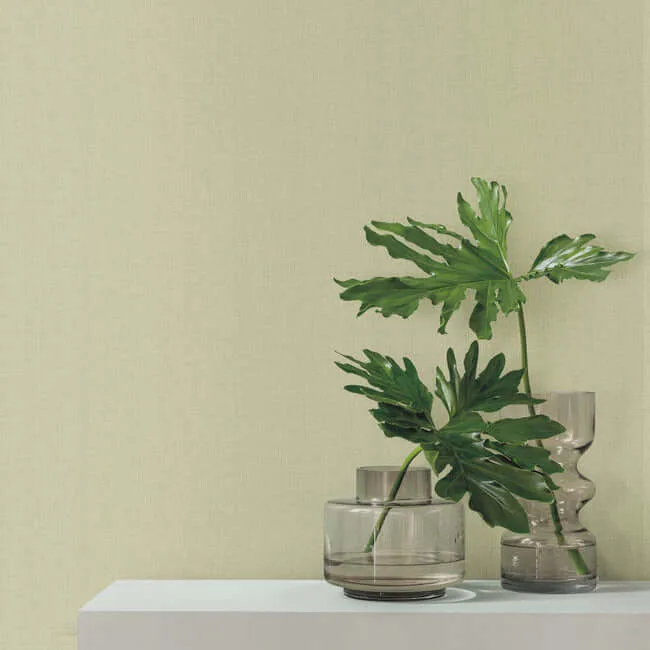 York Wallcoverings Su Tela wallpaper, color Green, SKU SI24951