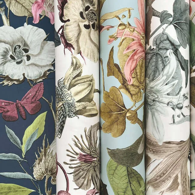 York Wallcoverings Butterfly House wallpaper, color Sky Blue, SKU BL1725
