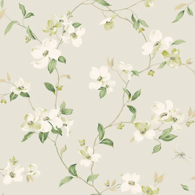 York Wallcoverings Dogwood wallpaper, color Light Grey, SKU BL1762