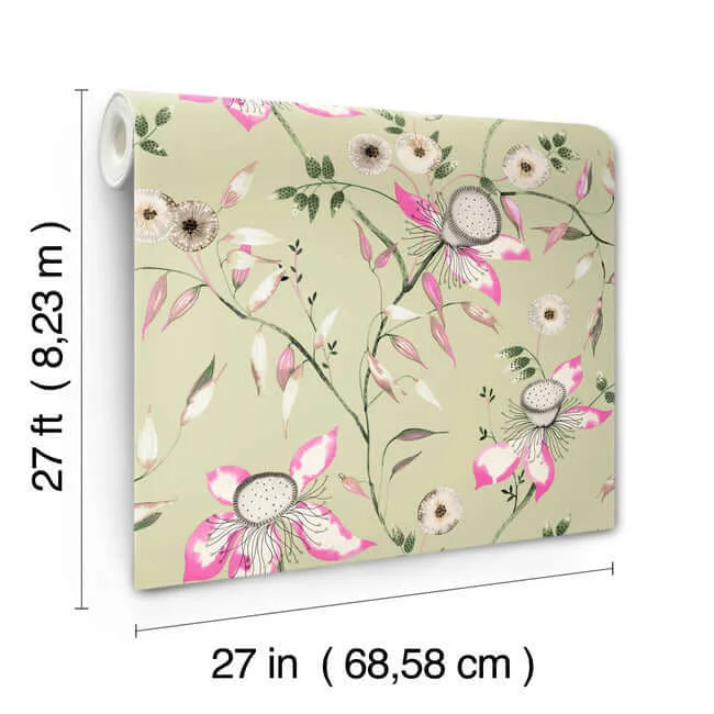 York Wallcoverings Dream Blossom - Light Green Wallpaper | Buy Online York Wallcoverings Dream Blossom wallpaper, color Light Green, SKU BL1791