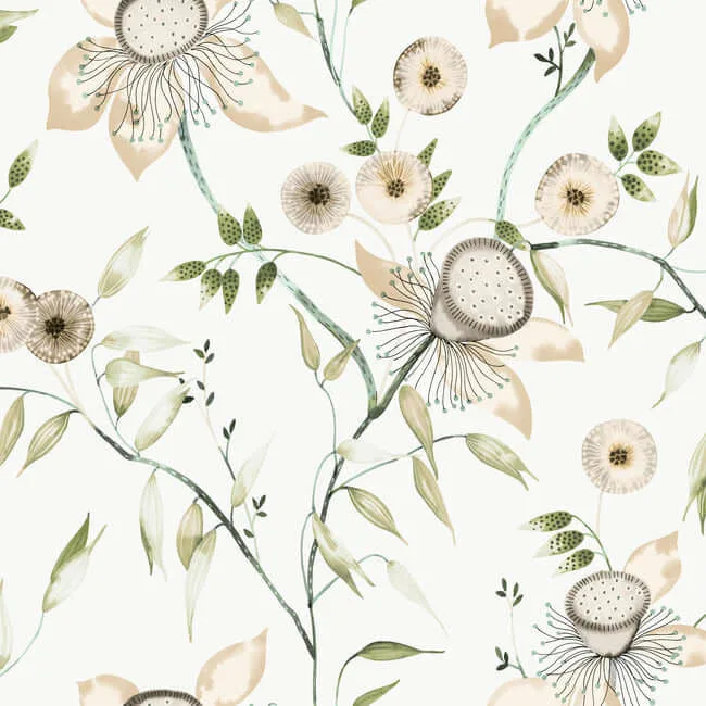 York Wallcoverings Dream Blossom wallpaper, color White & Green, SKU BL1793