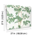 York Wallcoverings Lunaria Silhouette - White & Green Wallpaper | Buy Online York Wallcoverings Lunaria Silhouette wallpaper, color White & Green, SKU BL1801