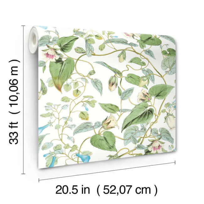 York Wallcoverings Moon Flower wallpaper, color White, SKU BL1711