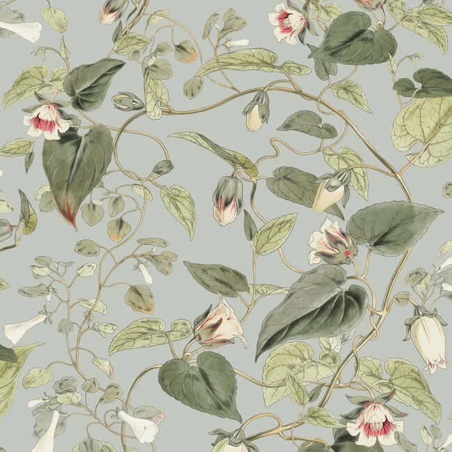 York Wallcoverings Moon Flower wallpaper, color Dove, SKU BL1712