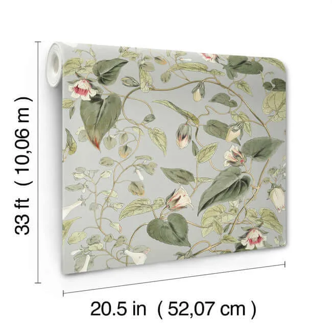 York Wallcoverings Moon Flower - Dove Wallpaper | Buy Online York Wallcoverings Moon Flower wallpaper, color Dove, SKU BL1712