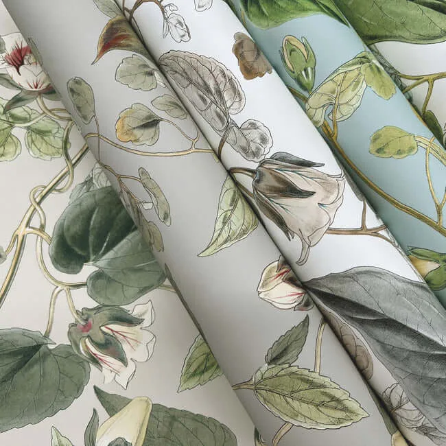 York Wallcoverings Moon Flower wallpaper, color Dove, SKU BL1712