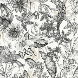 York Wallcoverings Rainforest wallpaper, color White & Charcoal, SKU BL1703