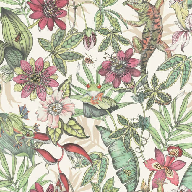 York Wallcoverings Rainforest wallpaper, color Multicolor, SKU BL1702