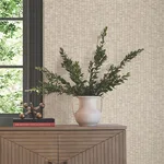 York Wallcoverings Lemuria - Beige Wallpaper | Buy Online York Wallcoverings Lemuria wallpaper, color Beige, SKU SI6571