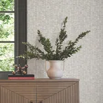 York Wallcoverings Lemuria - Mist Wallpaper | Buy Online York Wallcoverings Lemuria wallpaper, color Mist, SKU SI6570