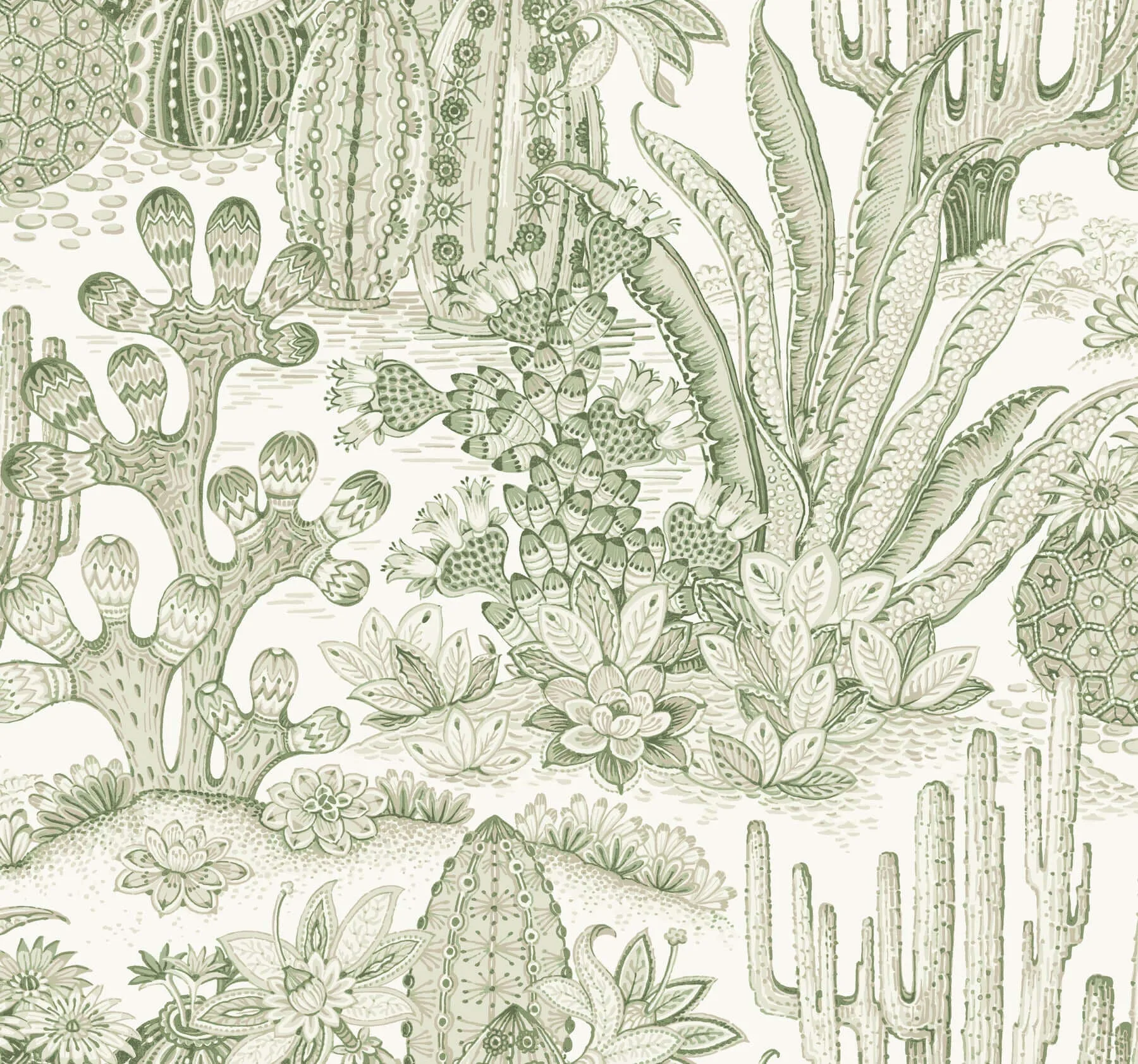York Wallcoverings Lotus Land Cacti wallpaper, color Palm, SKU MT5631