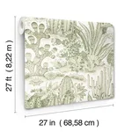 York Wallcoverings Lotus Land Cacti wallpaper, color Palm, SKU MT5631
