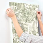 York Wallcoverings Lotus Land Cacti wallpaper, color Palm, SKU MT5631