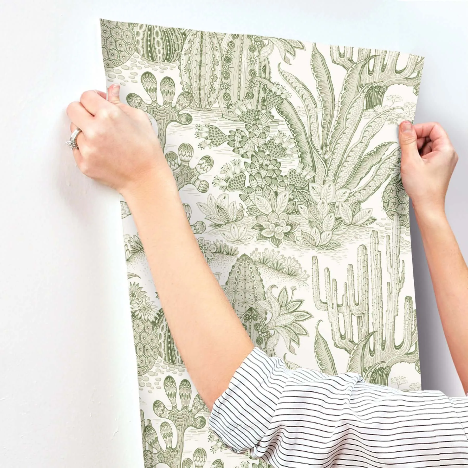 York Wallcoverings Lotus Land Cacti wallpaper, color Palm, SKU MT5631