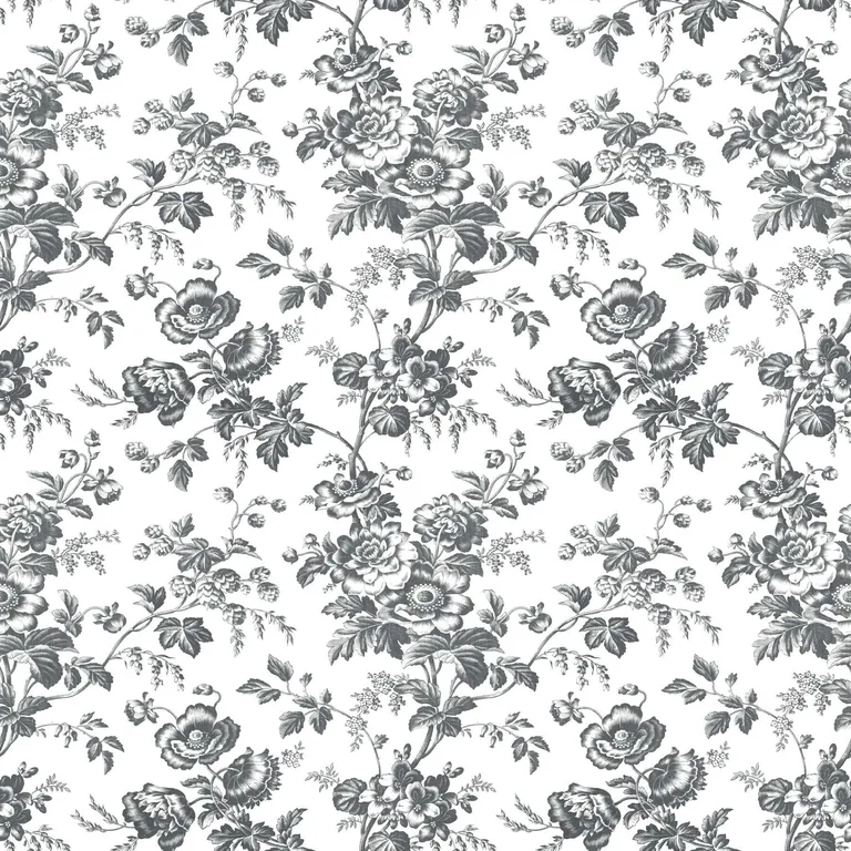 York Wallcoverings Anemone Toile wallpaper, color Black, SKU RT7875