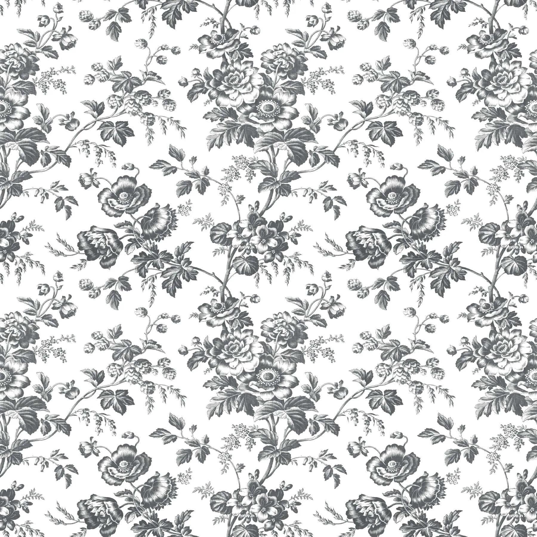 York Wallcoverings Anemone Toile wallpaper, color Black, SKU RT7875
