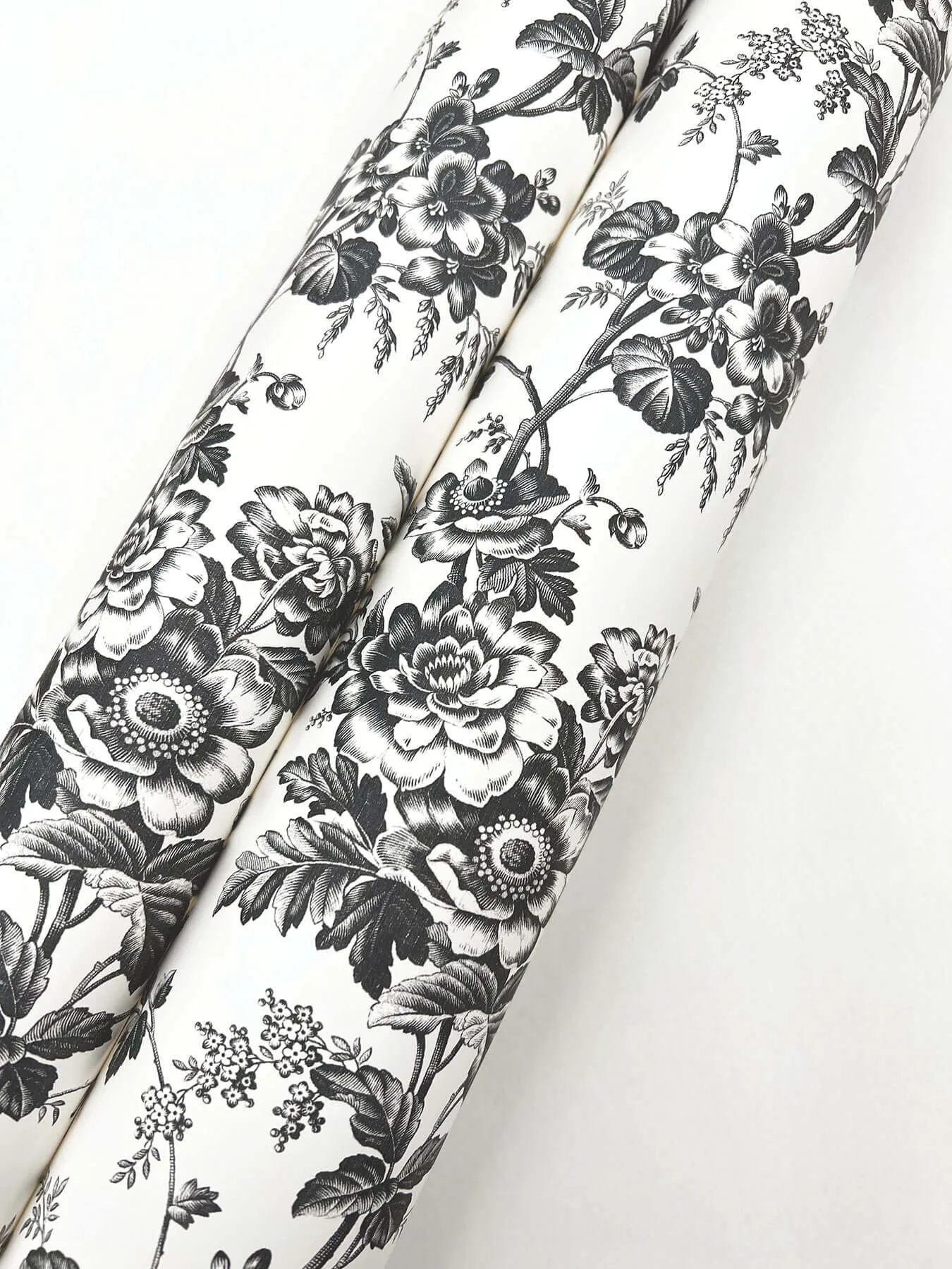 York Wallcoverings Anemone Toile wallpaper, color Black, SKU RT7875