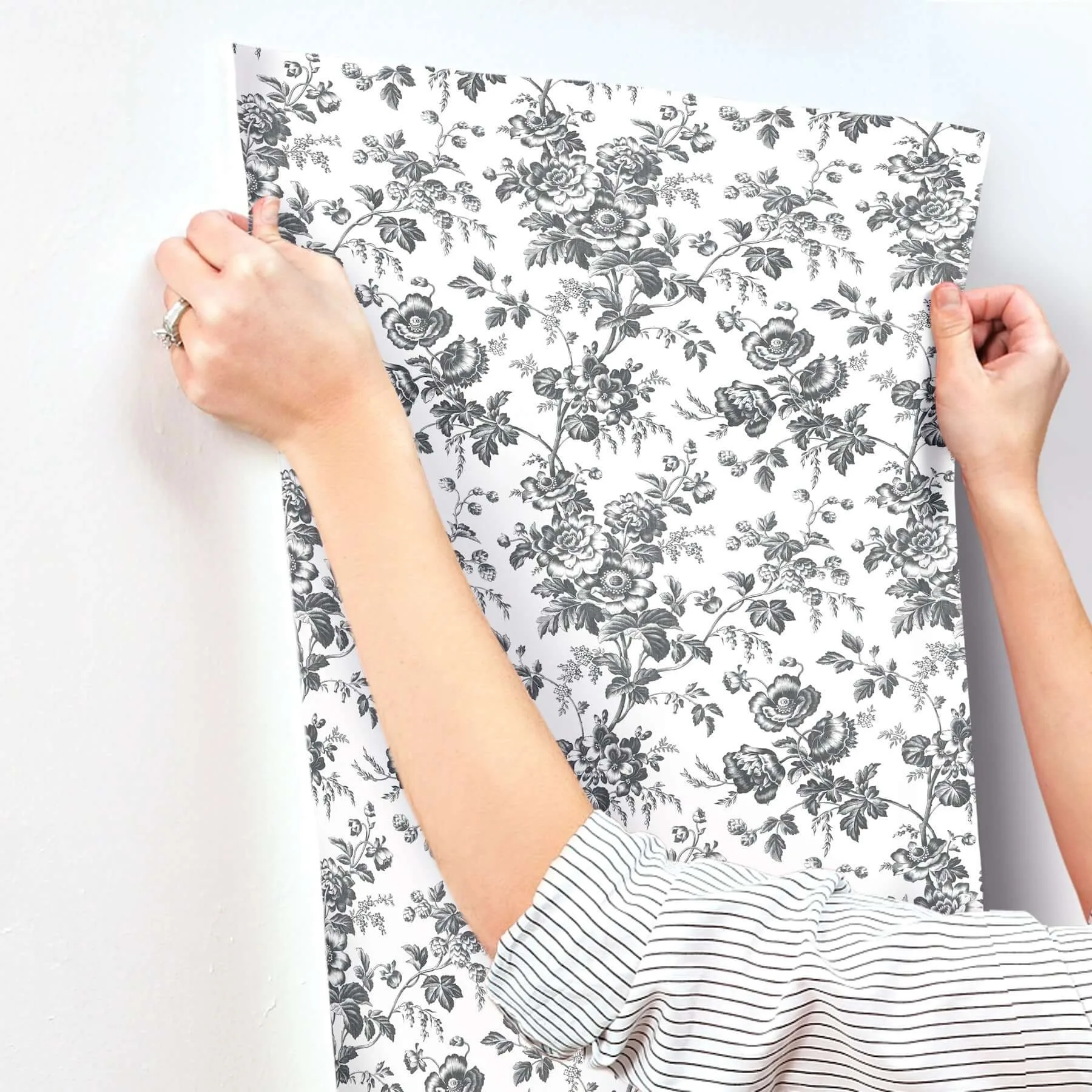 York Wallcoverings Anemone Toile wallpaper, color Black, SKU RT7875