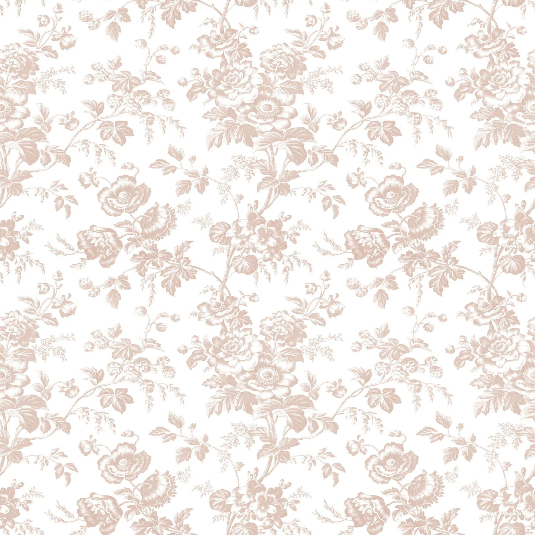 York Wallcoverings Anemone Toile wallpaper, color Blush, SKU RT7874