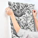 York Wallcoverings Avian Fountain Toile wallpaper, color Black, SKU RT7813